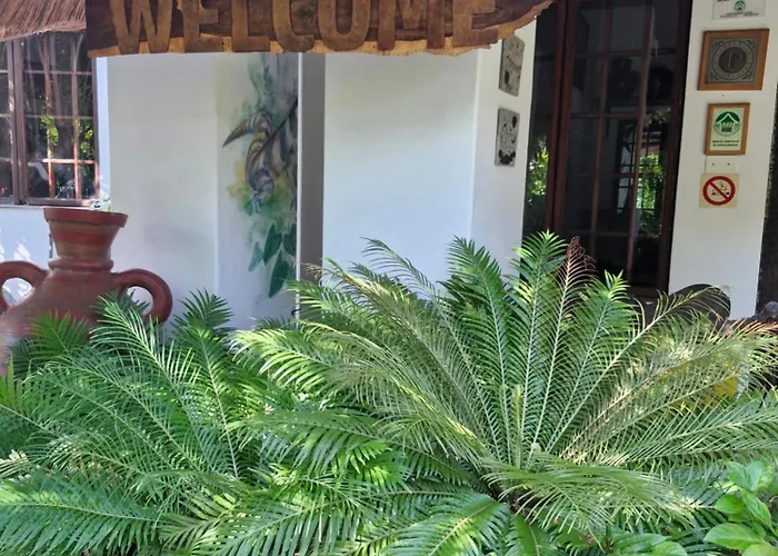 African Ambience Guest House