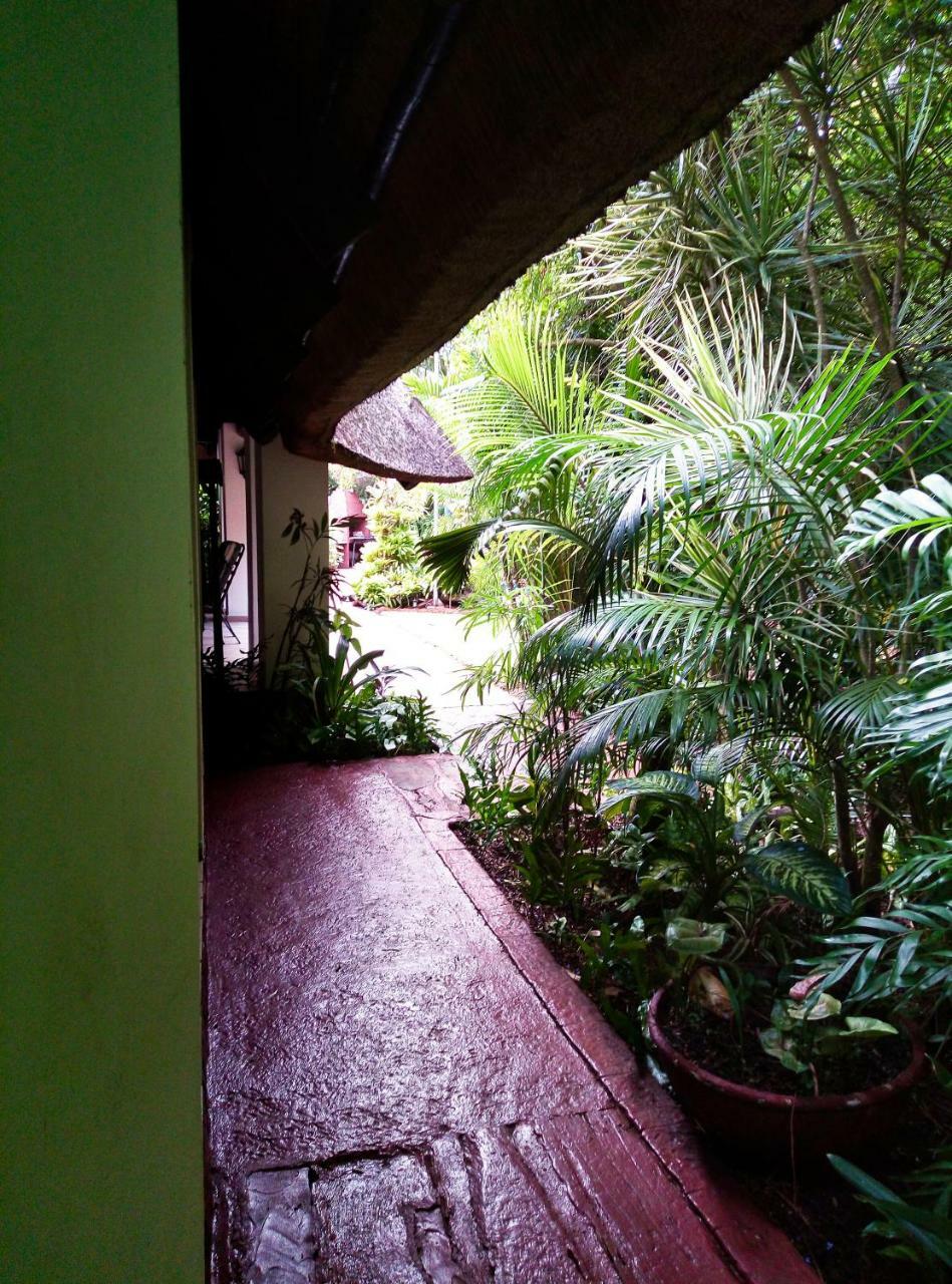 African Ambience Saint Lucia Estuary